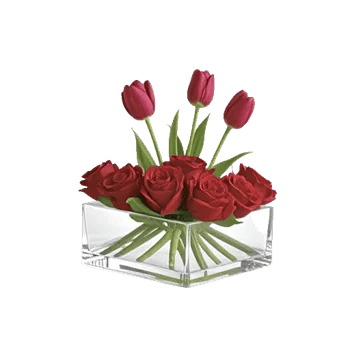 Crimson Rose Elegance