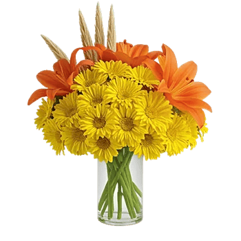 Petal Radiance Bliss