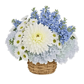 Serene Petal Harmony