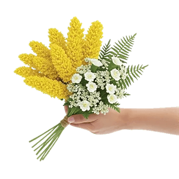 Blossom Harmony Display