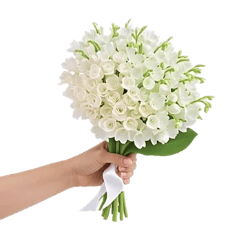 Ivory Blossom Radiance