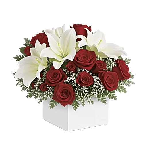 Crimson Rose Elegance