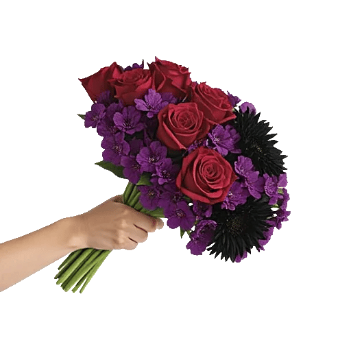 Petal Grace Harmony
