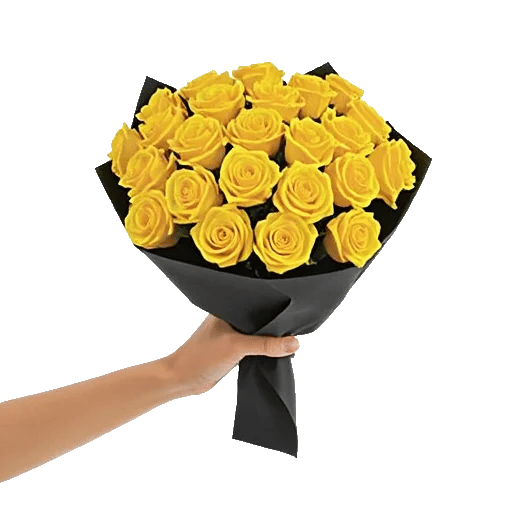 Blushing Rose Symphony