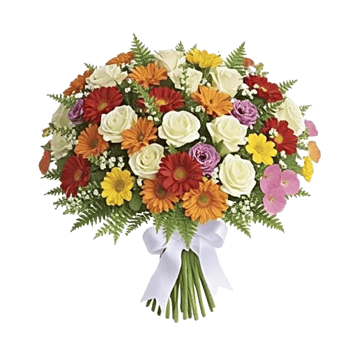 Vibrant Orange Delight