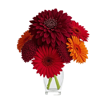 Crimson Blossom Harmony
