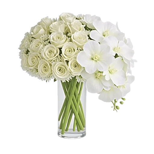 Modern White Orchids