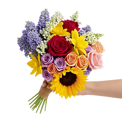 Blossom Harmony Display