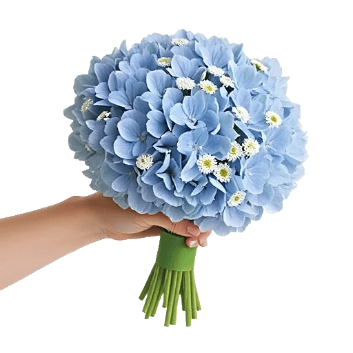 Serene Petal Harmony