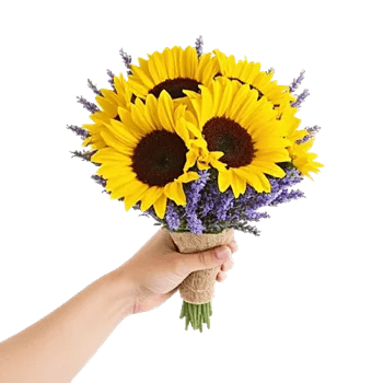 Twinkling Sunflower Dance