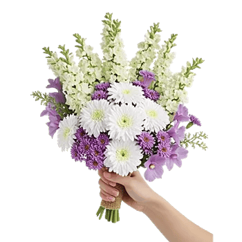 Delicate Petal Cascade