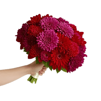 Crimson Blossom Harmony