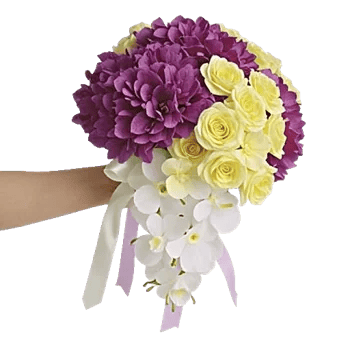 Orchid Bloom Cascade