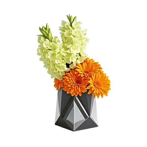 Petal Radiance Bliss