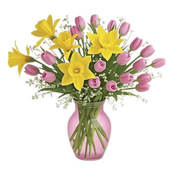 Crisp Spring Blooms