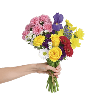 Petal Harmony Bliss