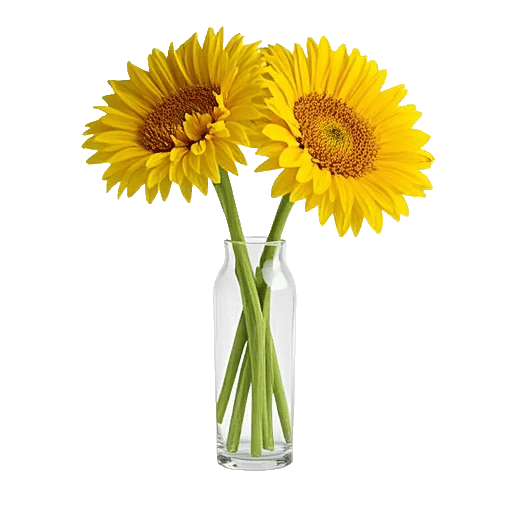Radiant Bloom Cascade