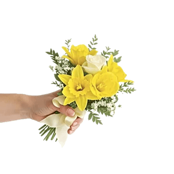 Minimalist White Orchids