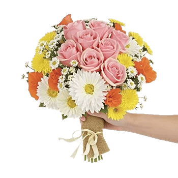 Blushing Rose Symphony