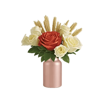 Radiant Rose Symphony