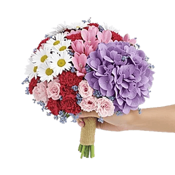 Petal Harmony Bliss