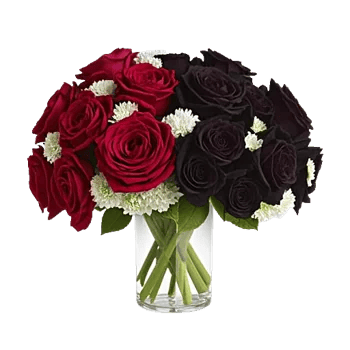 Crimson Rose Elegance