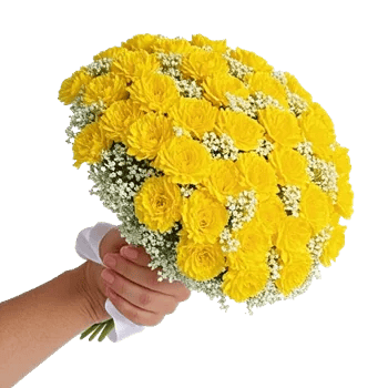 Petal Harmony Bliss