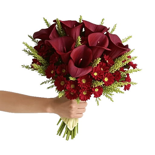 Elegant Calla Lilies