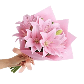 Blushing Rose Symphony