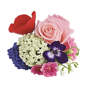 Ivory Blossom Radiance