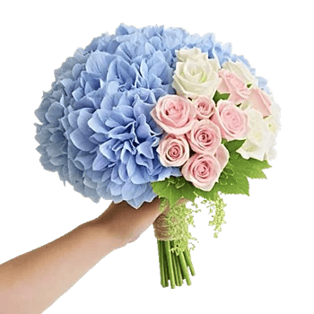 Delicate Petal Cascade