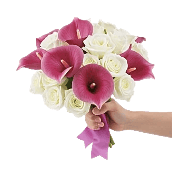 Elegant Calla Lilies
