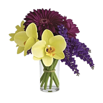 Orchid Petal Glow