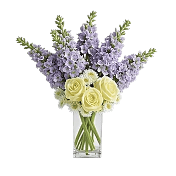 Lavender Bloom Grace