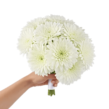 Radiant Bloom Cascade