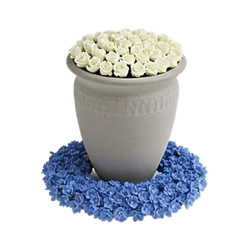 Elegant Blue Roses