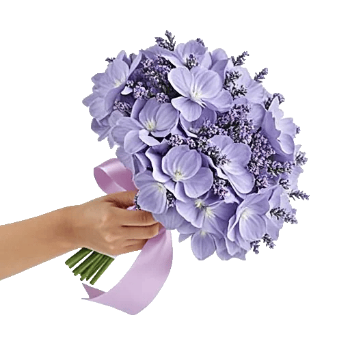 Lavender Fields Forever