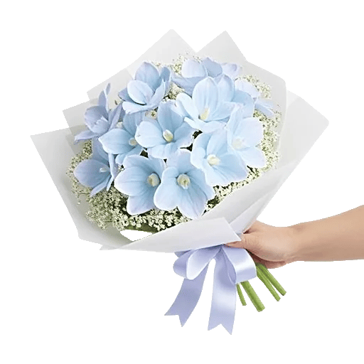 Serenity Orchid Bloom