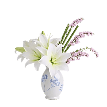 Ivory Blossom Radiance