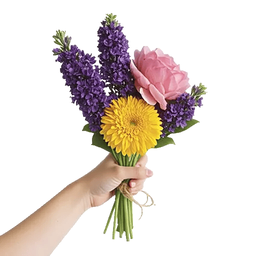 Petal Radiance Bliss