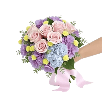 Pastel Pink Roses