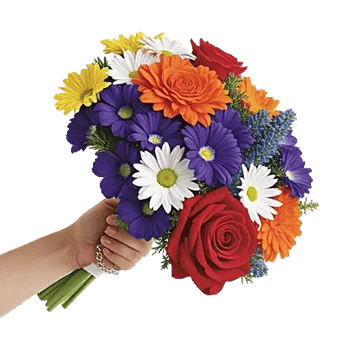 Blossom Harmony Display