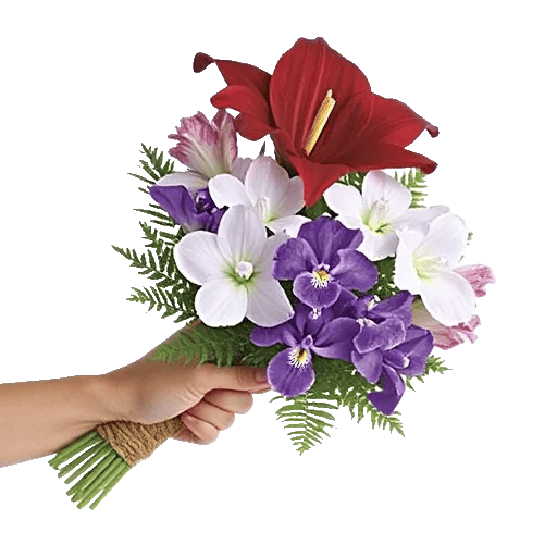 Modern White Orchids