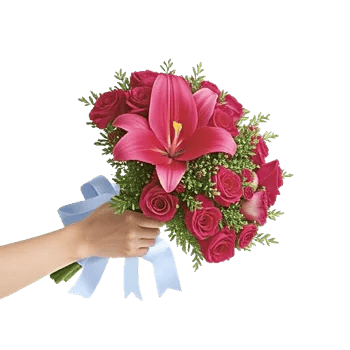 Blushing Rose Symphony