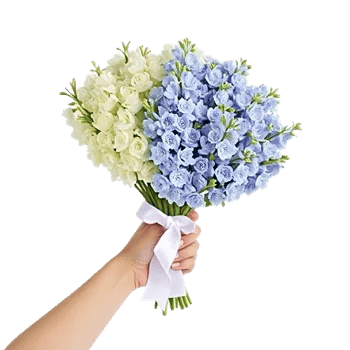 Ivory Blossom Radiance