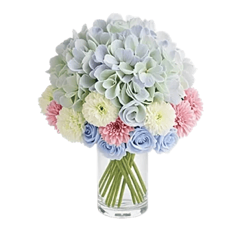 Azure Sky Blooms