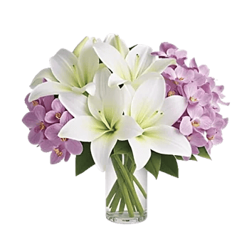 Orchid Bloom Cascade