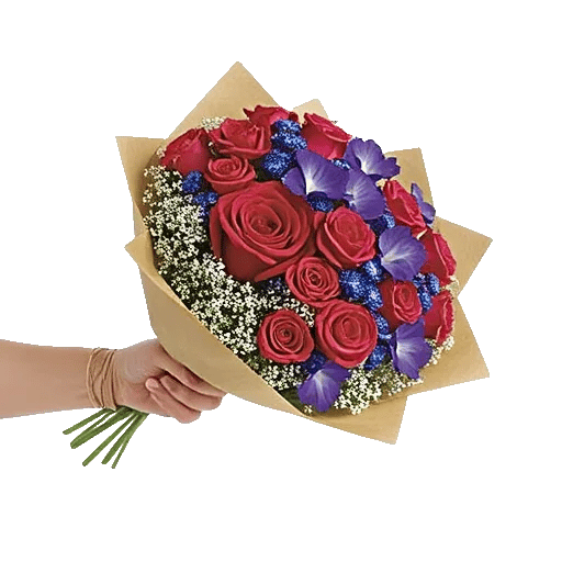 Crimson Rose Elegance