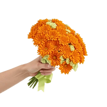 Vibrant Orange Delight