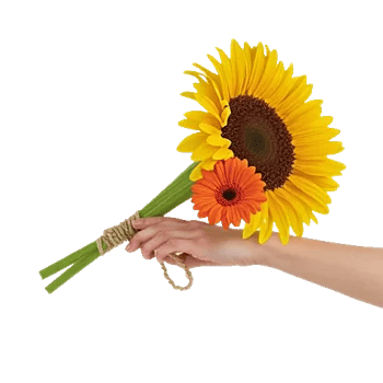 Amber Sunflower Glow